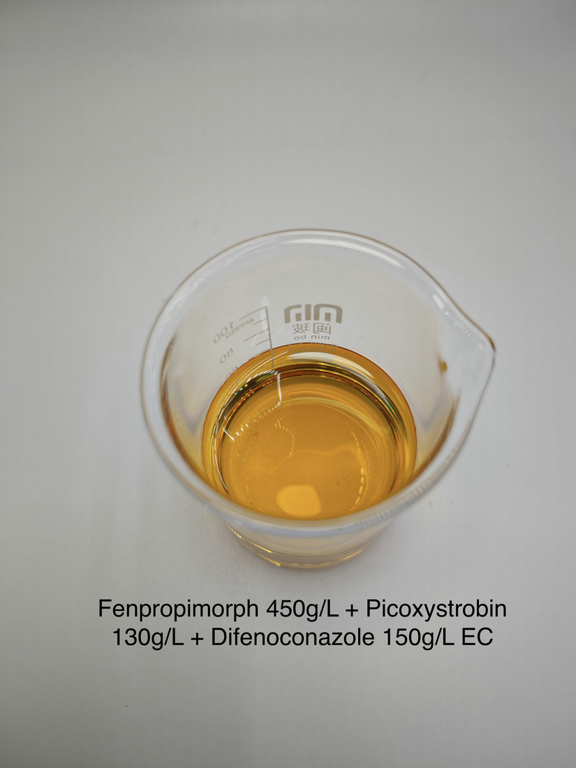 Fenpropimorph 450g/L + Picoxystrobin 130g/L + Difenoconazole 150g/L EC